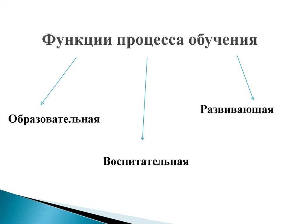 Функции и структура современной образовательной системы
