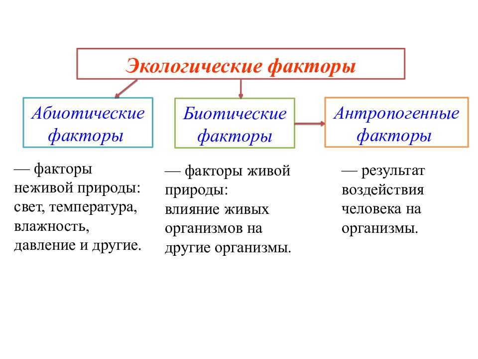 Факторы экологии