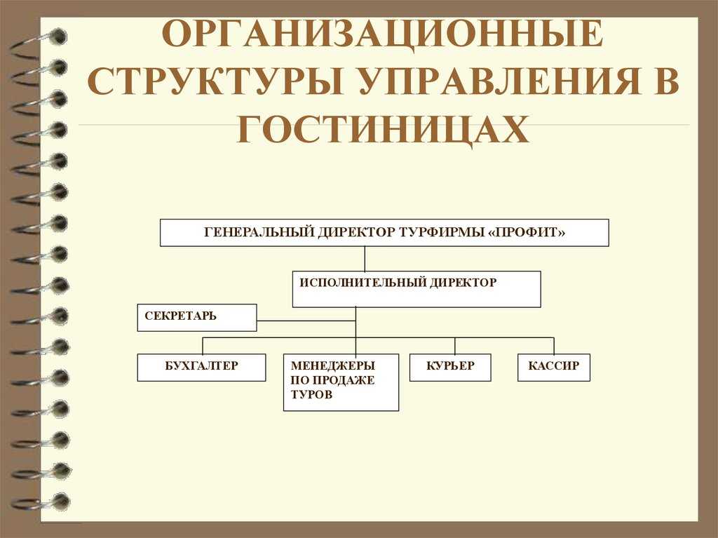 Основные виды организационных структур управления гостиницей