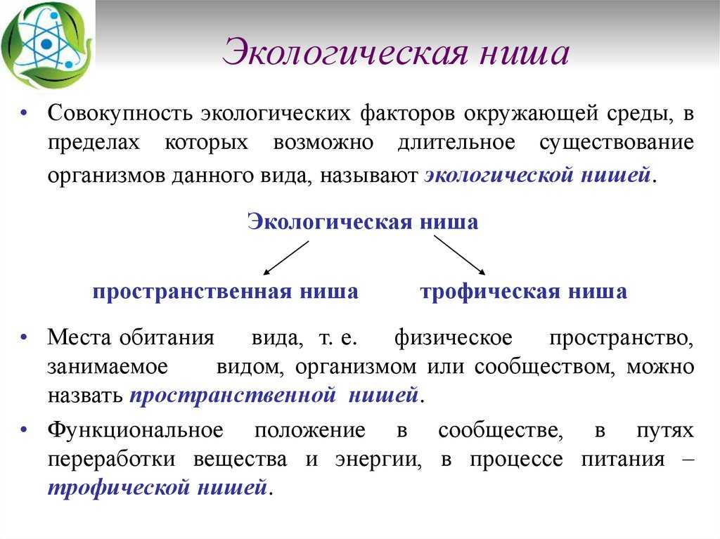 Экологические ниши - биология - я биолог