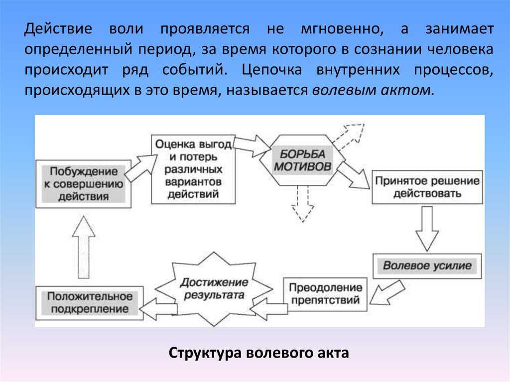 Виды психических процессов: воля