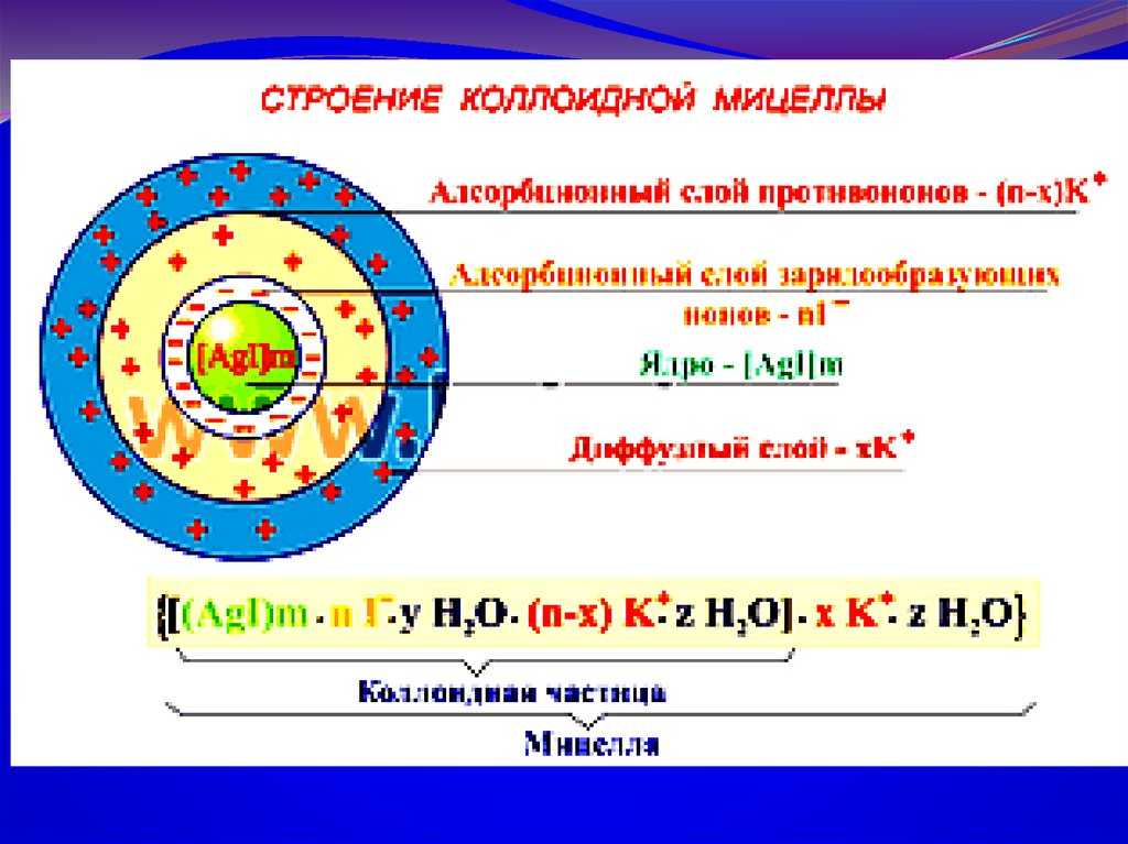 Мицелла: строение, схема, описание и химическая формула