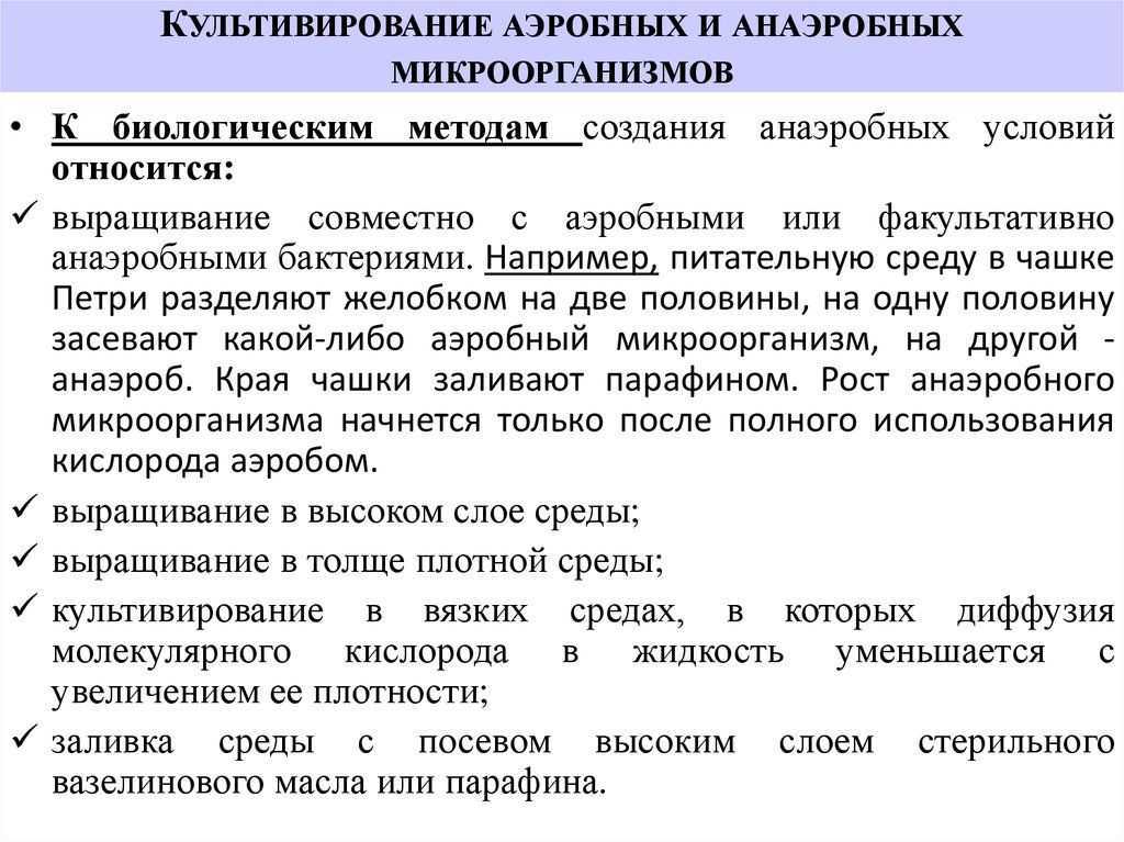 Чистые культуры бактерий анаэробных, молочнокислых: понятие, методы выделения, штаммы, где используются