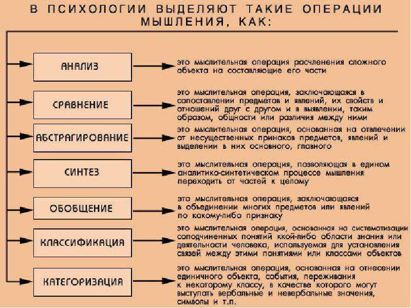 Мышление операции мышления виды мышления формы мышления способы мышления