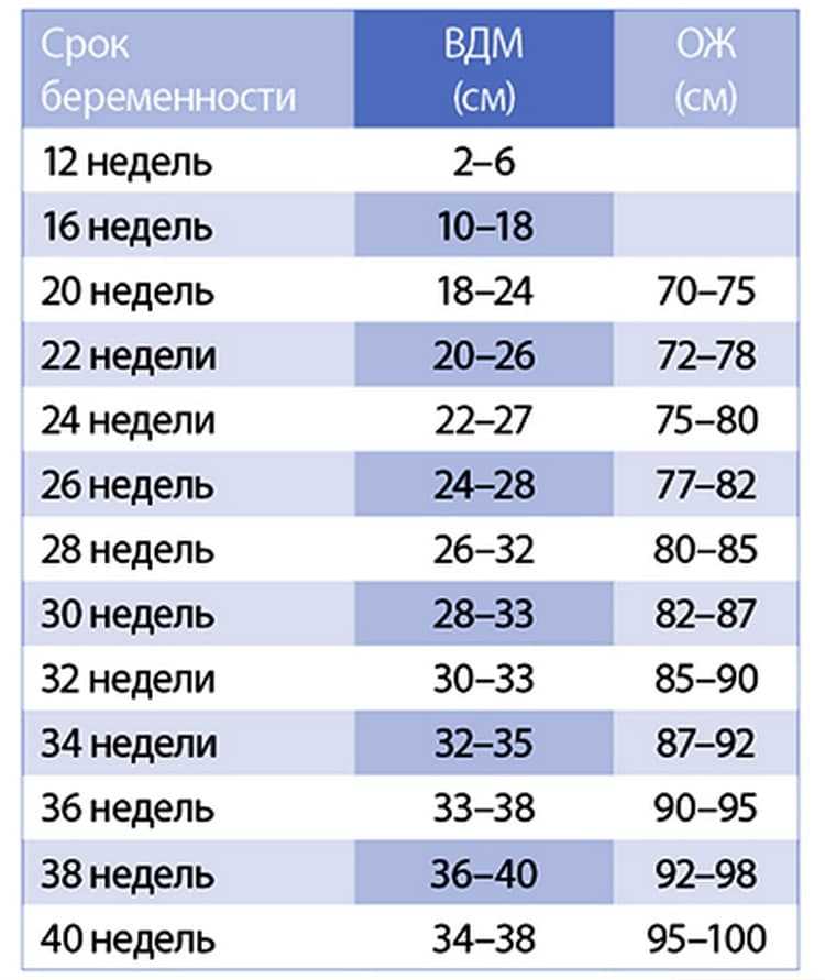 Гравидограмма что это такое