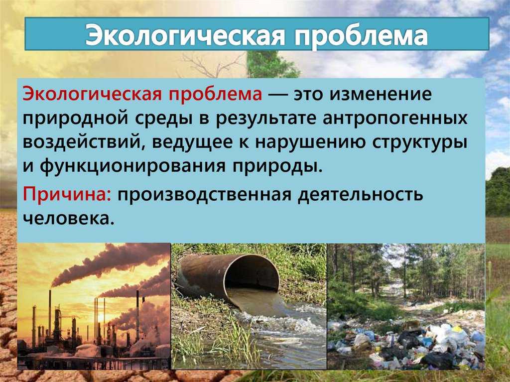 Влияние хозяйственной деятельности человека на биосферу