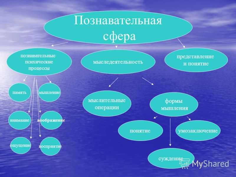 Познавательная сфера личности. краткая характеристика познавательных процессов.