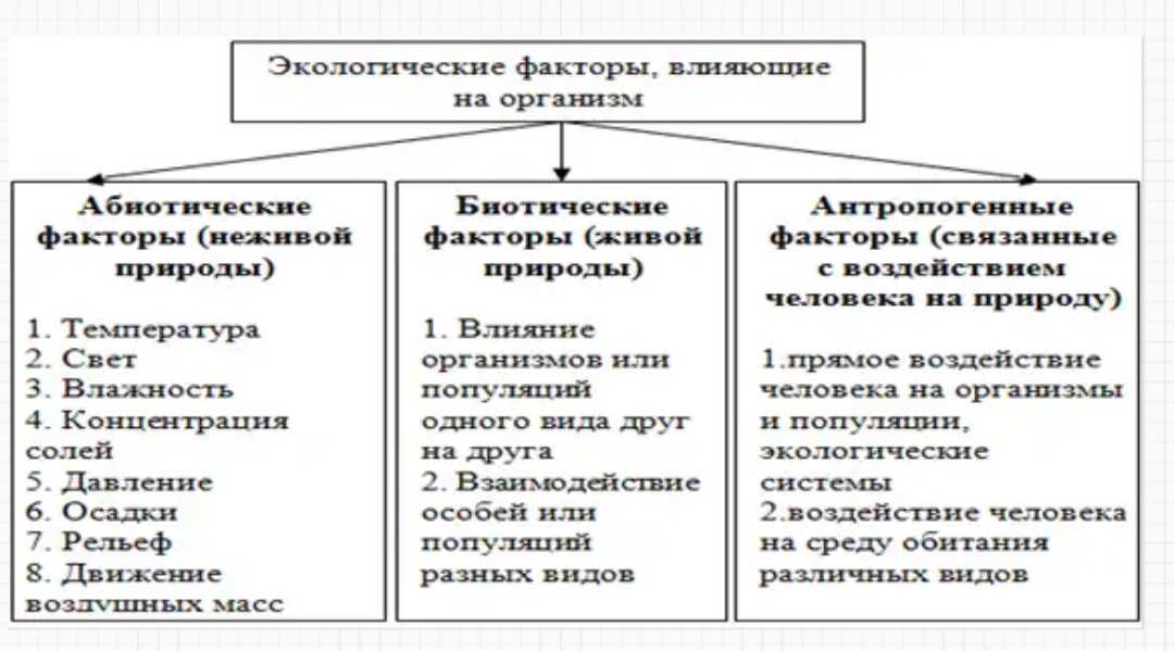 Экология особей - егэ для vip