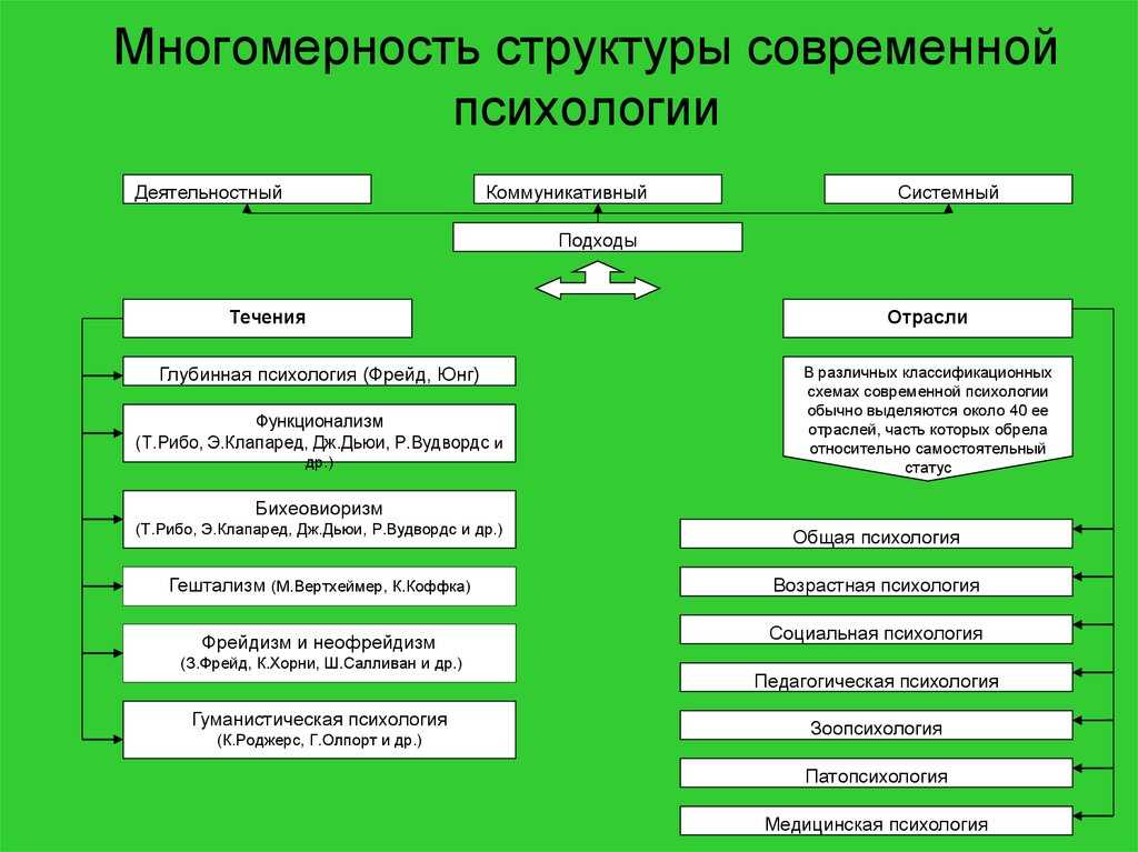 Принципы и структура современной психологии