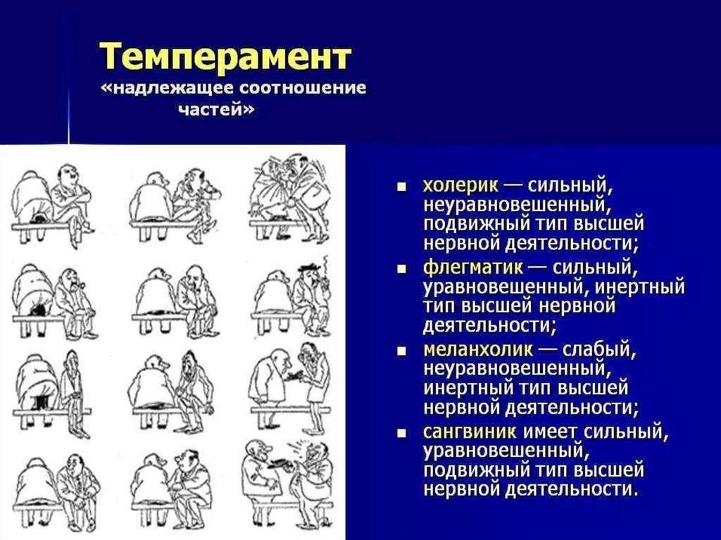 Активность темперамента