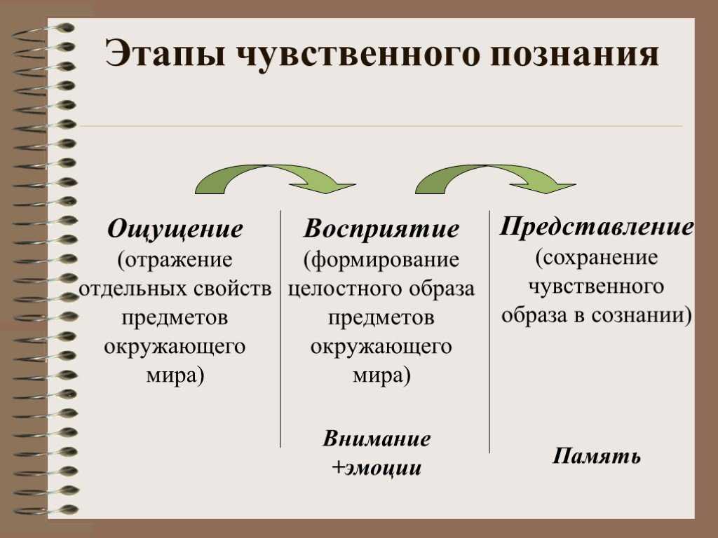 Этапы познания и их характеристика
