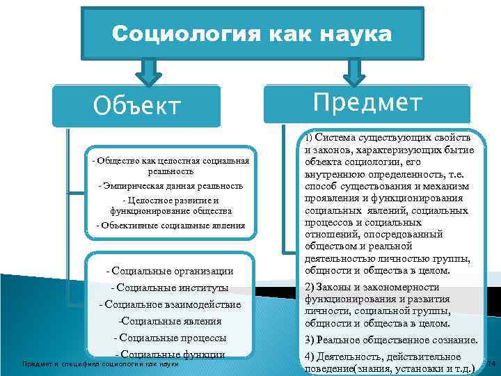 Структура и функции социологии. реферат. социология. 2016-02-17