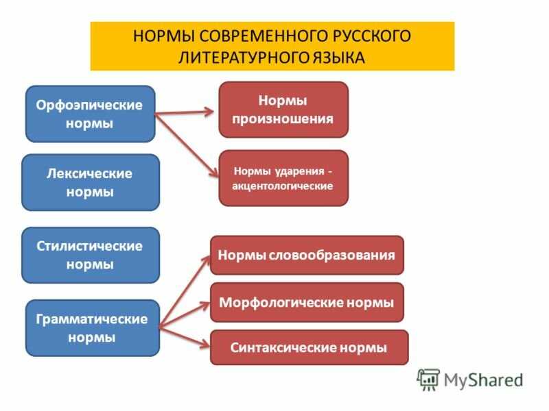 Речевые ошибки: виды, причины, примеры