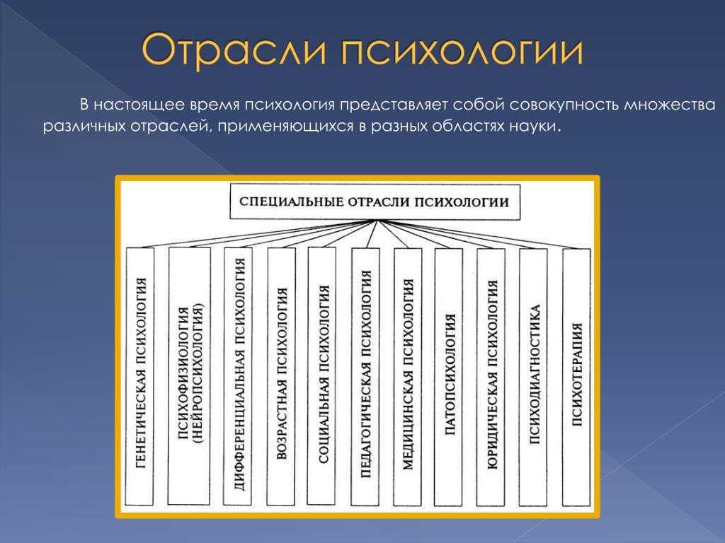 Отрасли психологии как научной дисциплины
