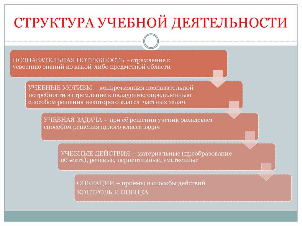 Учебная деятельность