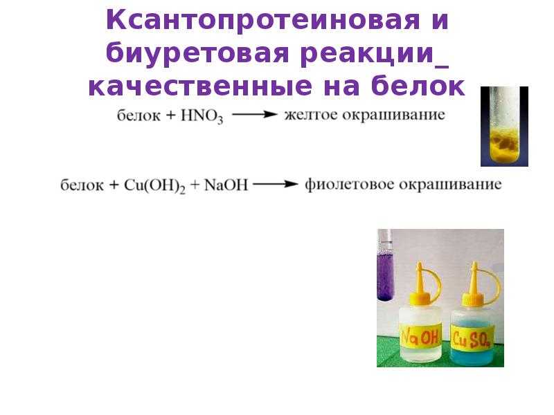 Ксантопротеиновая реакция: обоснование, методика, применение