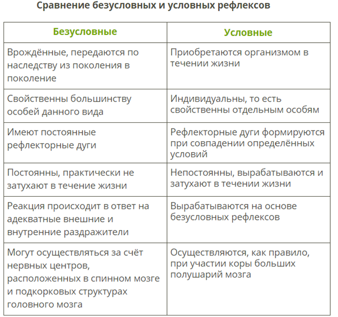Условные рефлексы: проведение опытов, механизм образования и биологическое значение
