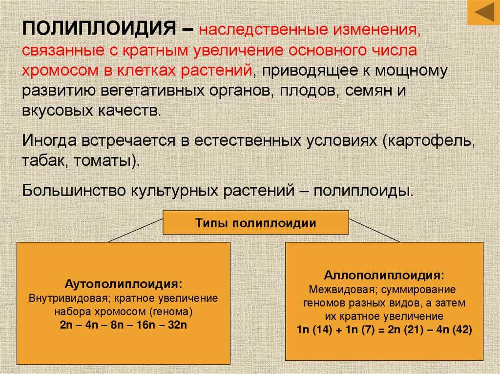 Конспект "методы селекции" - учительpro