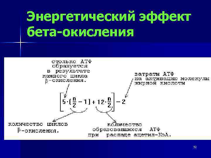 Методжички по липидному обмену