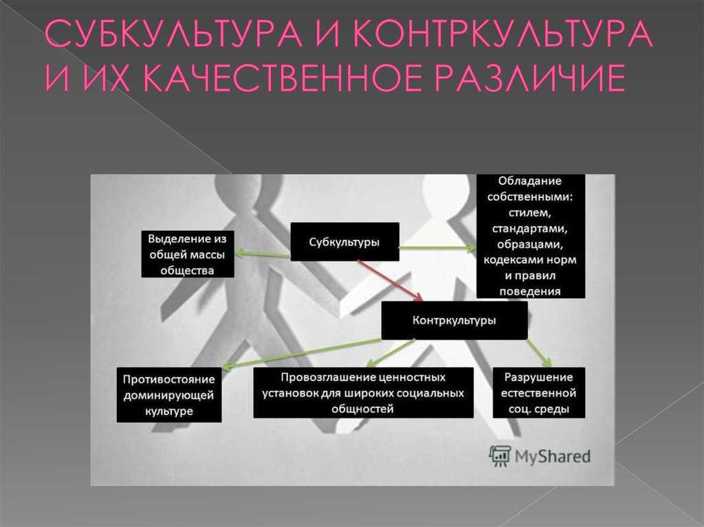 Что такое субкультуры и как они влияют на общество