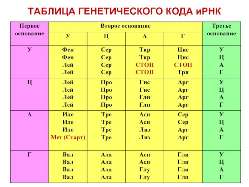 Биология. 11 класс