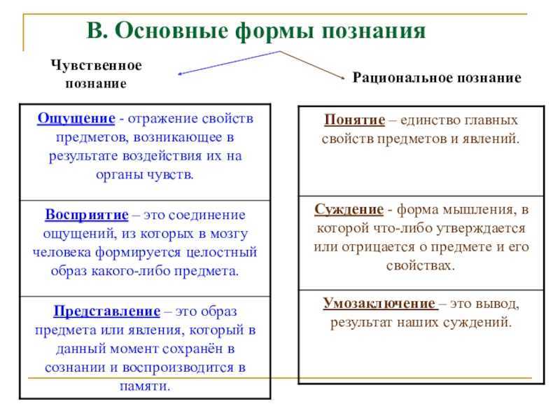 Чувственное и рациональное познание