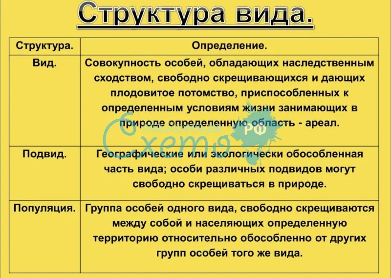 Этологическая  структура популяции: что это такое, отличие от возрастной, примеры для млекопитающих