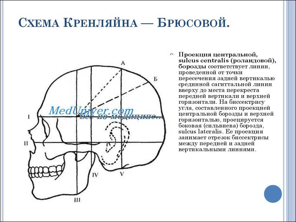 Передний отдел кровоснабжения. схема кренлейна-брюсовой схема черепно-мозговой
топографии кренлейна-брюсовой