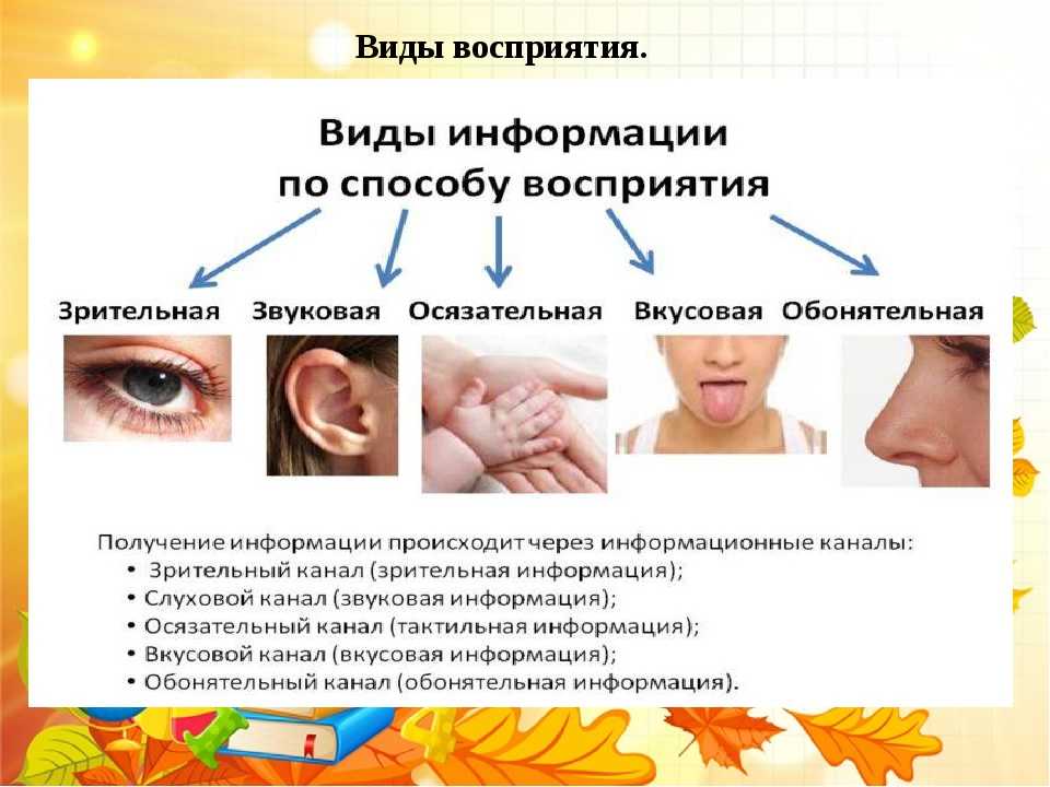 Восприятие и его основные свойства