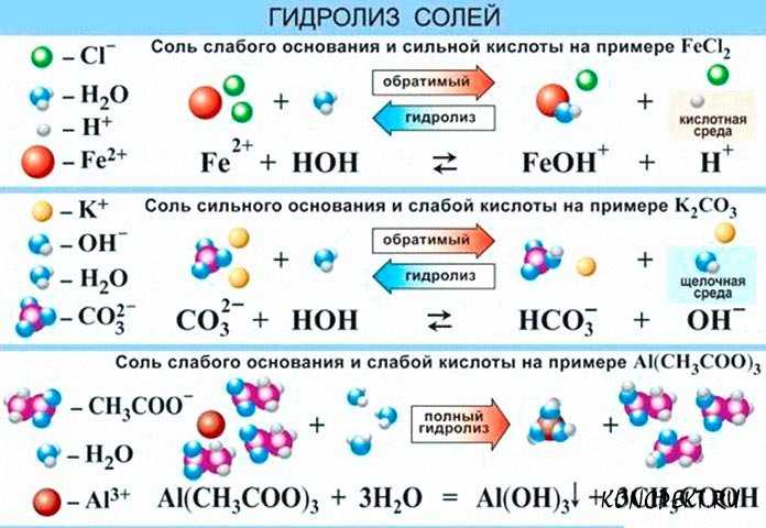 Какие виды уравнений пишут для гидролиза соли