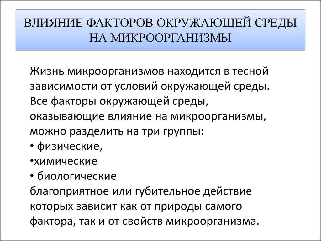 Влияние факторов внешней среды на жизнедеятельность микроорганизмов