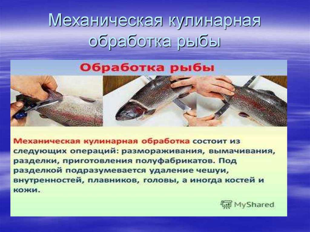 Первичная обработка мяса и рыбы