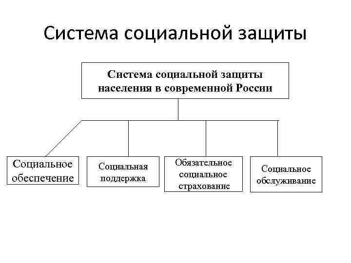 Виды и формы социальной защиты населения