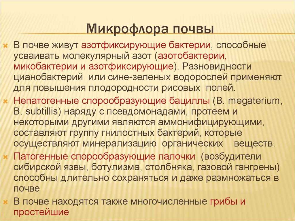 Бактерии в воздухе: какие есть виды, сколько живут