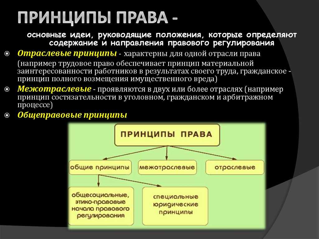2.3 межотраслевые принципы права