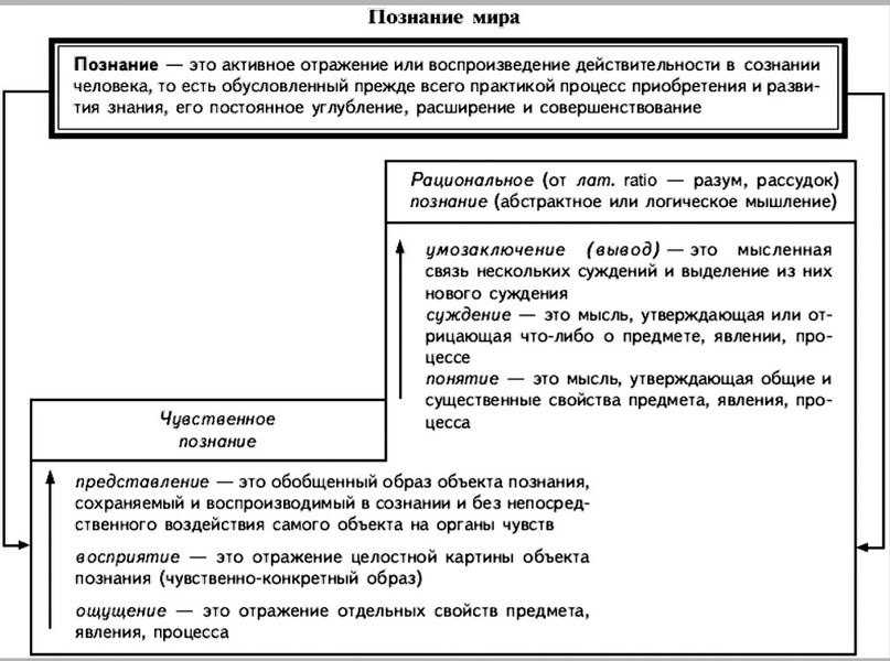 Основные формы рационального познания