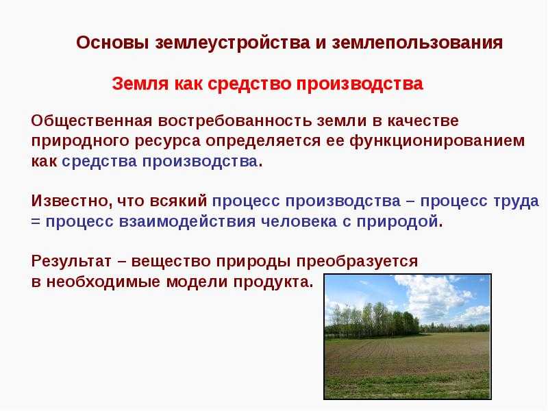 Что такое землеустройство на территории россии