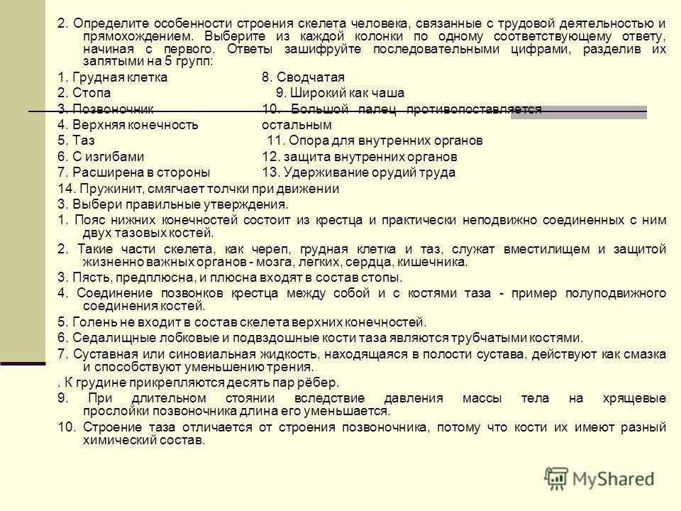 Особенности скелета человека связанные с прямохождением и трудовой деятельностью презентация, доклад, проект