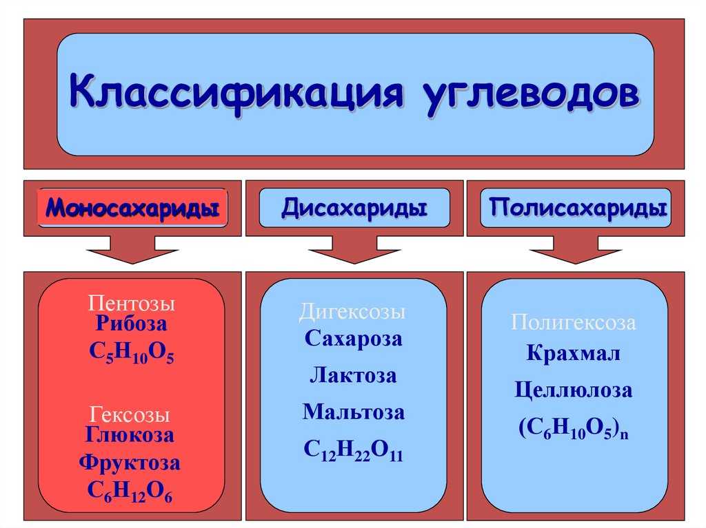 Углеводы | химия онлайн