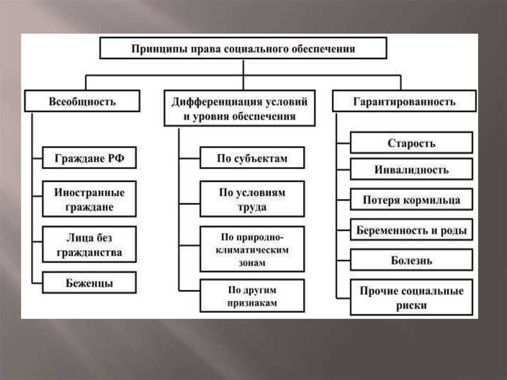 Социальная защита