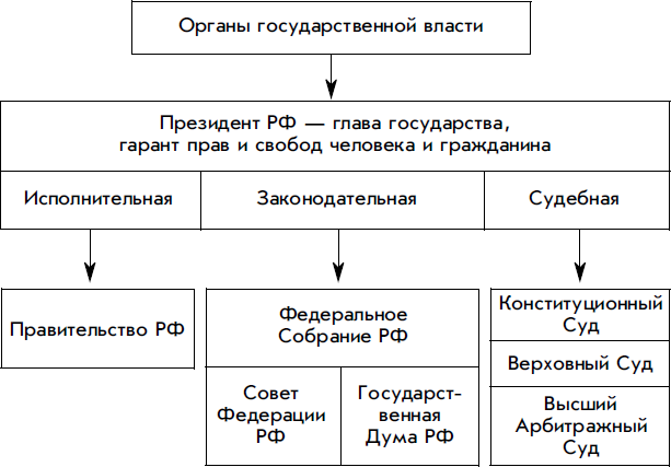 Система органов государственной власти рф - структура и функции законодательных, исполнительных, судебных органов управления