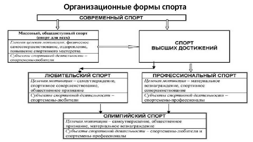 Презентация на тему: "теория спорта цель занятия: ознакомиться с учебным предметом «теория спорта» и с основами понятийного аппарата план занятия: 1.требования, предъявляемые.". скачать бесплатно и без регистрации.