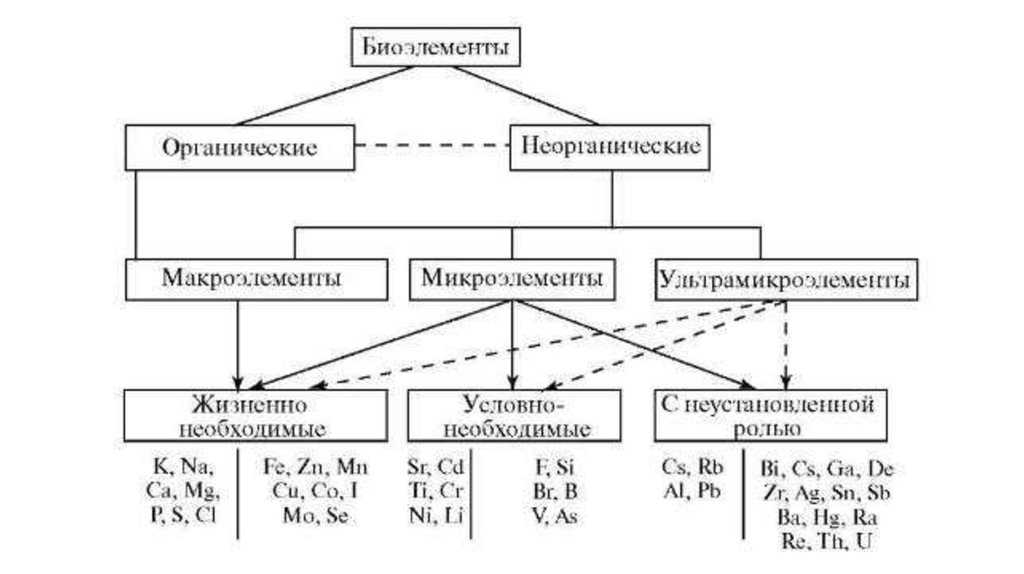 Биогенные элементы в организме человека