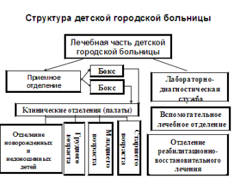 Организация работы и структура детской поликлиники