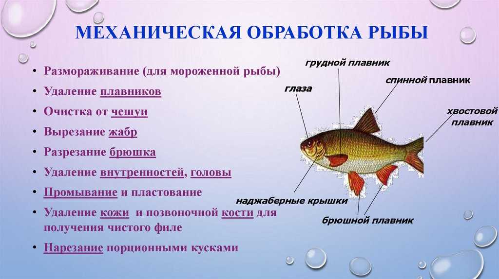 Первичная обработка
