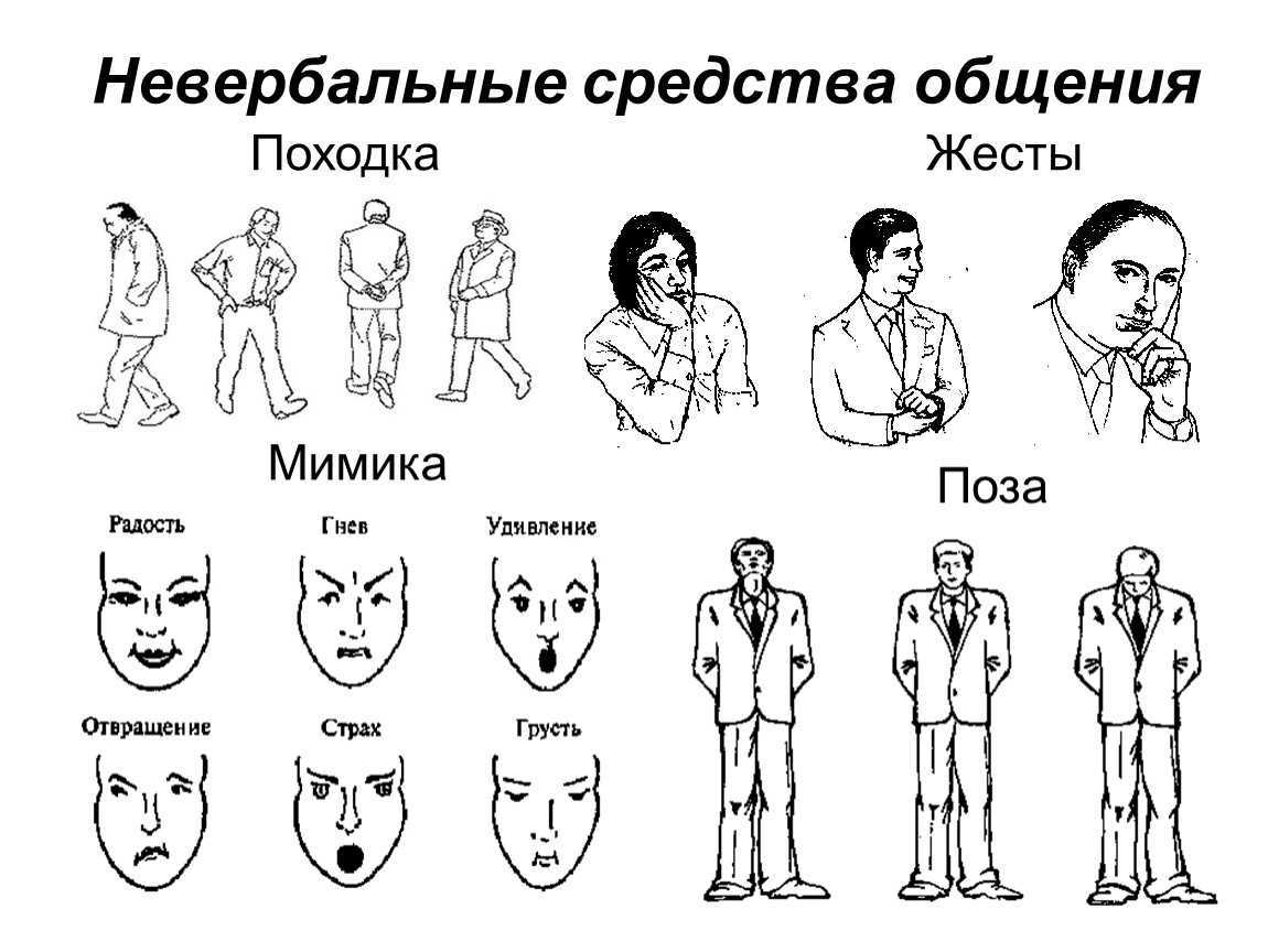 Язык тела и жестов: психология человека по поведению и мимике