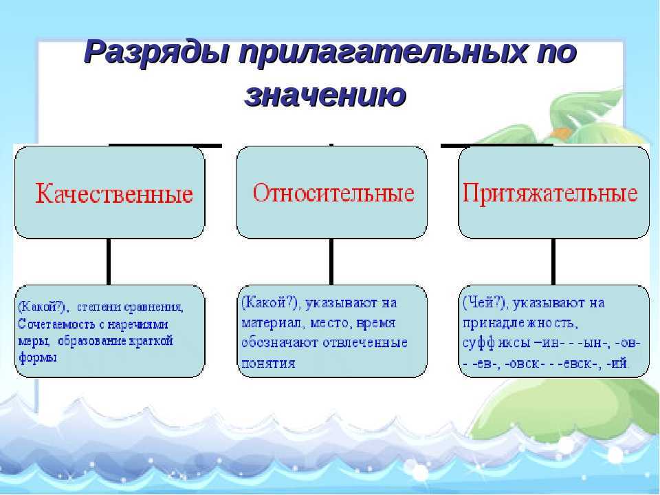 Качественные, относительные и притяжательные прилагательные – как определить с примерами