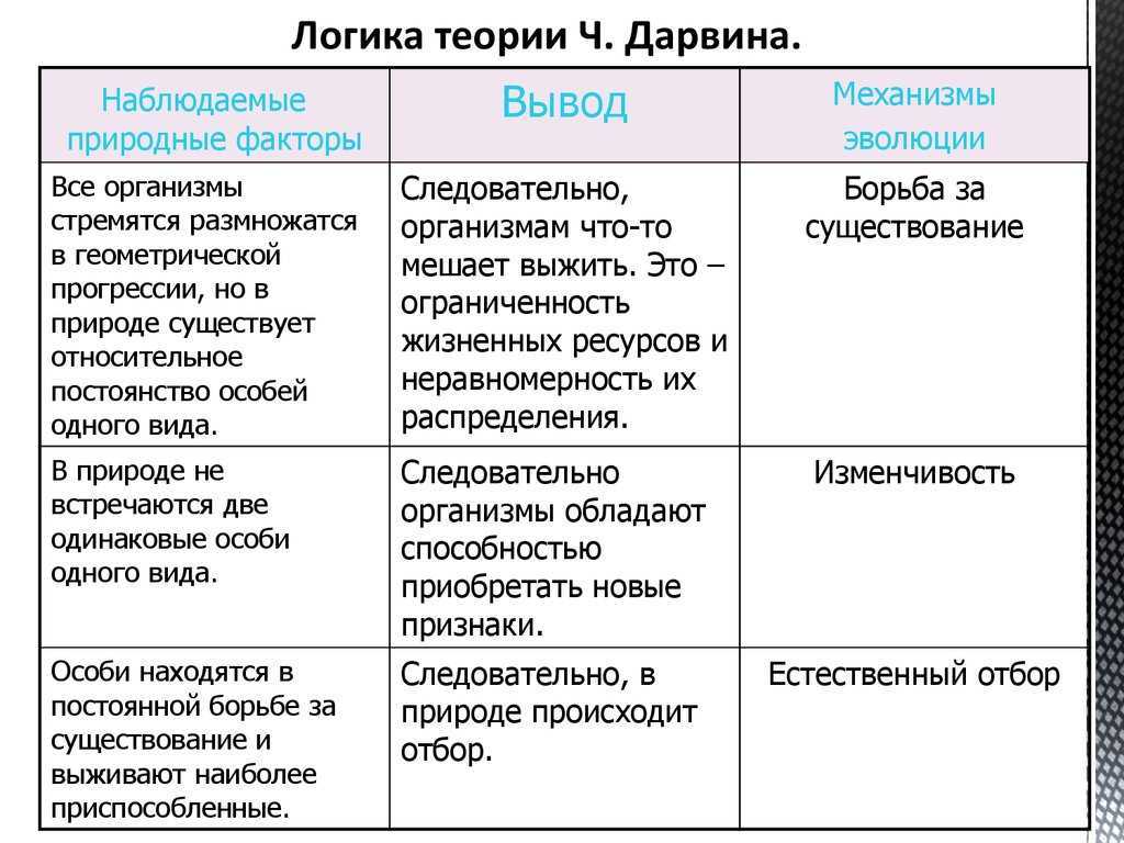 Системы классификации информации: виды и признаки отбора