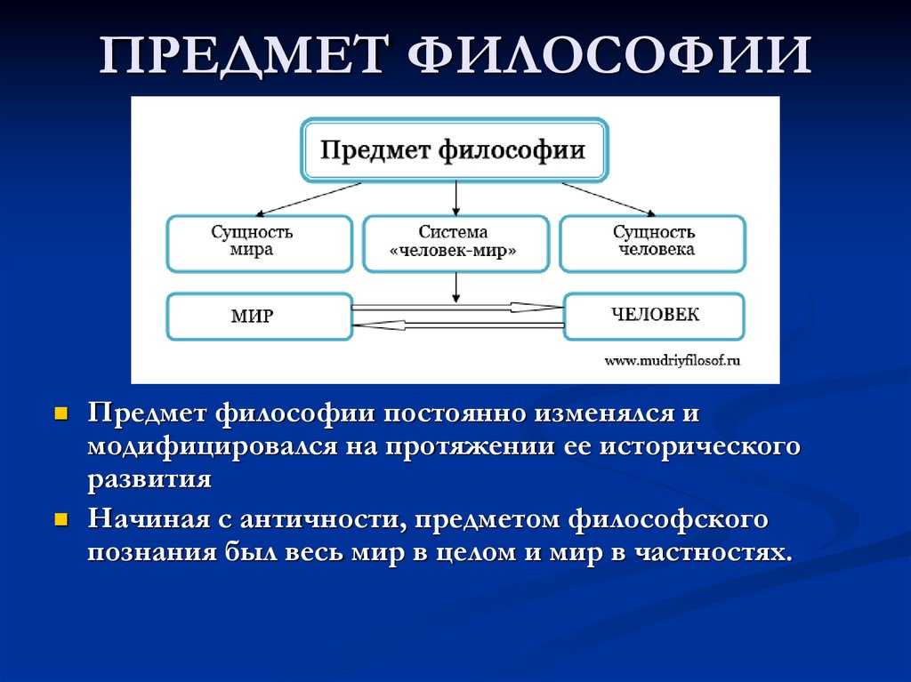 Структура современной философии