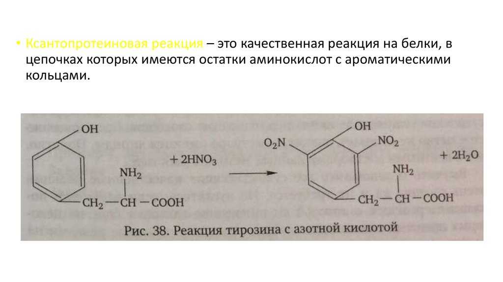 Химия. 10 класс